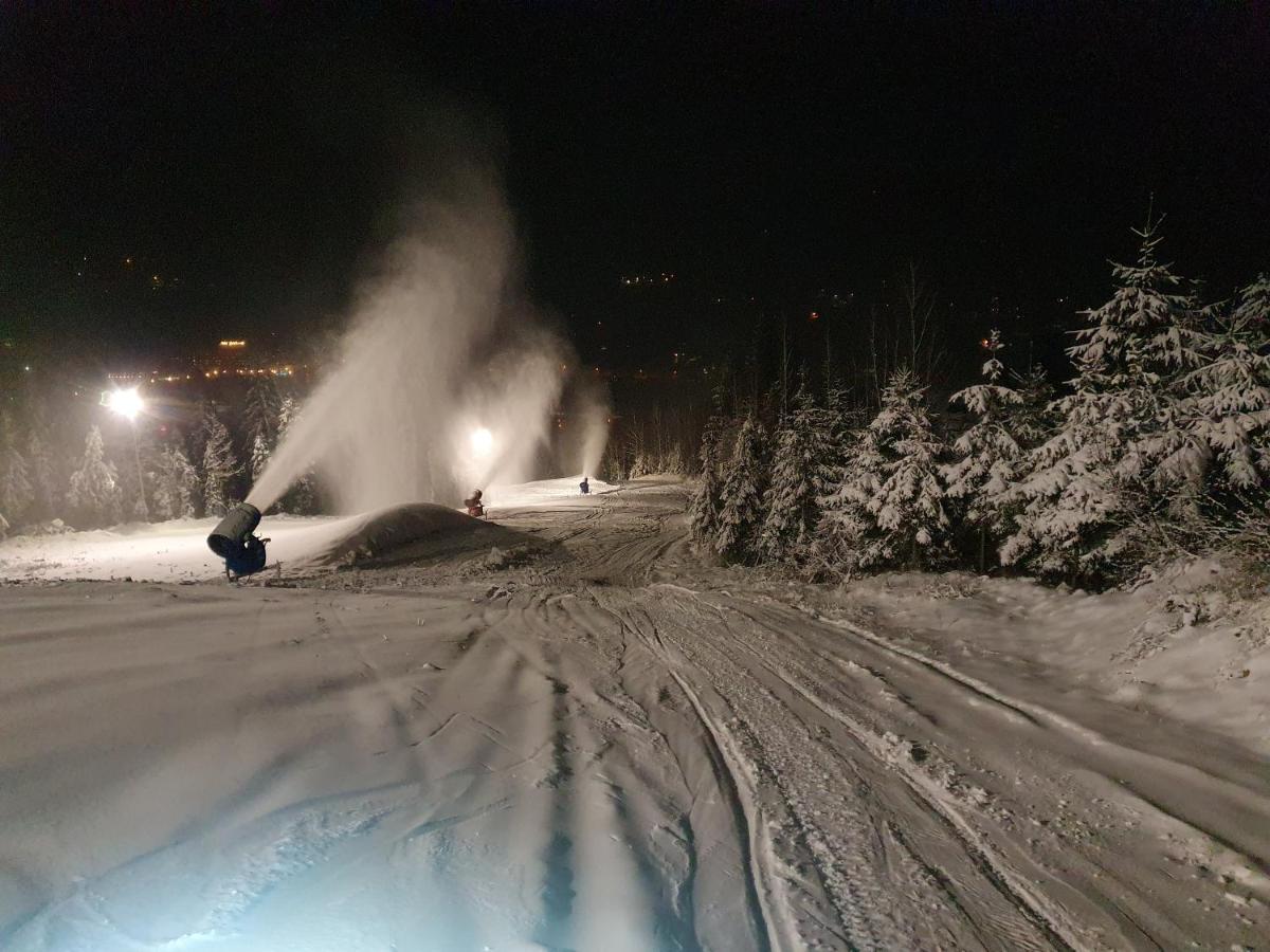 Villa Olimpijska 2 - Centrum Wisla Bagian luar foto